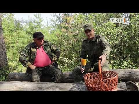 � ���-�� ���� � ��� �������� ��-���������� ������� �����! � ��� ����������, � ��������� �� ������ ��� �������� ������ � �������� � ����������� �������