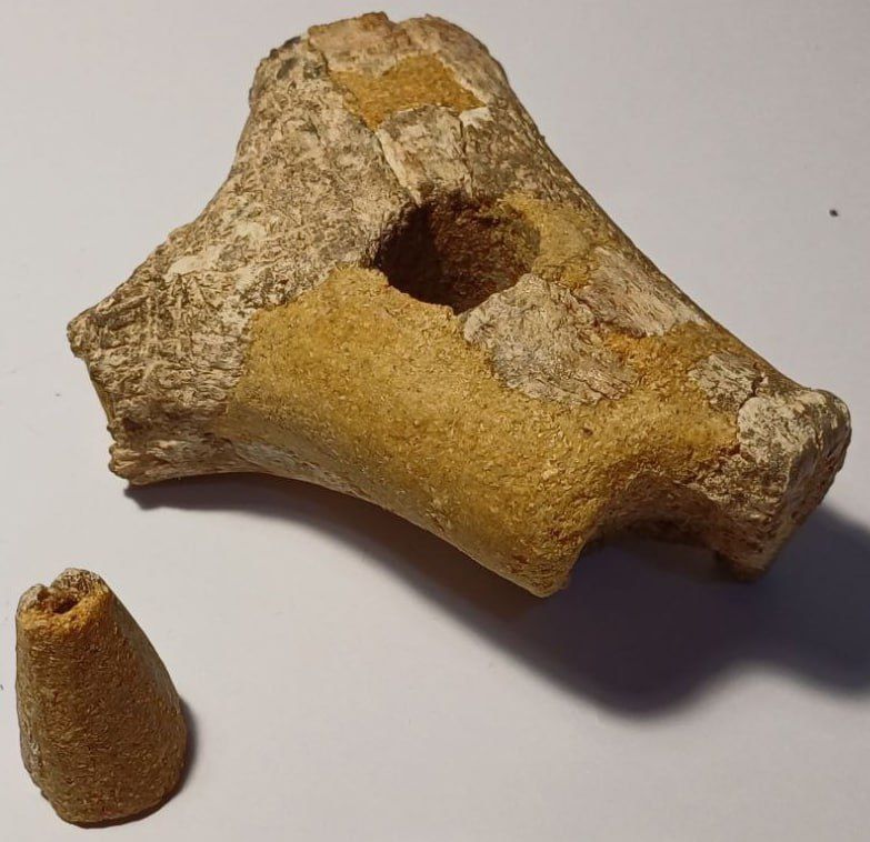 ���������� ��� ������������ ������������ ������������ ������� ����������, ������� �� ���������� ������������� 2800 ��� �����