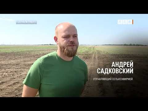 �������� ������ �������� � ���� � ��� ��������� ��������, ����� � ��� ������� �� ��������� ���