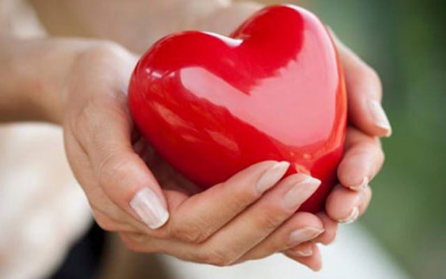 29 �������� ���������� ��������� ���� ������