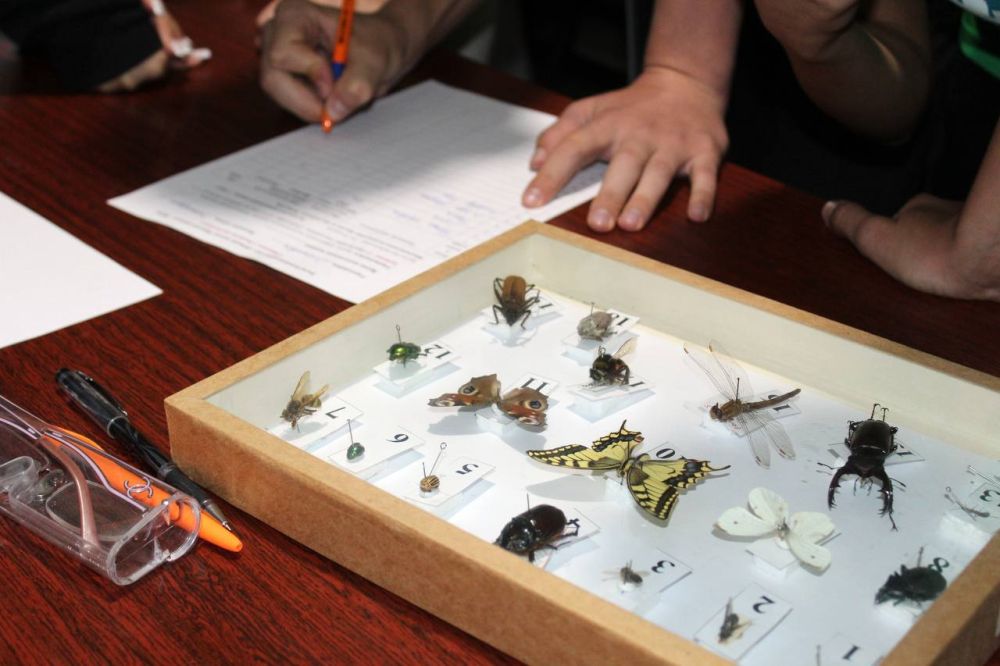 ���� ���� �������� � ��������