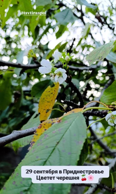 ��� ��� �� ��������, � ������ ���������