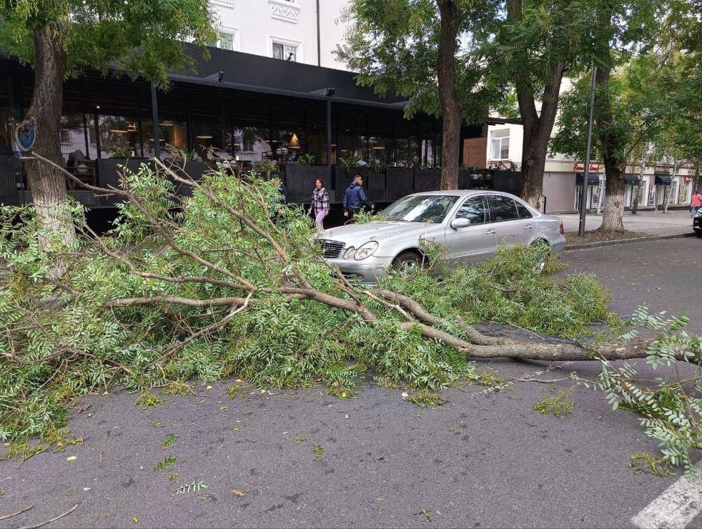 ����� ����� �� �������� ����� �� ����� ������