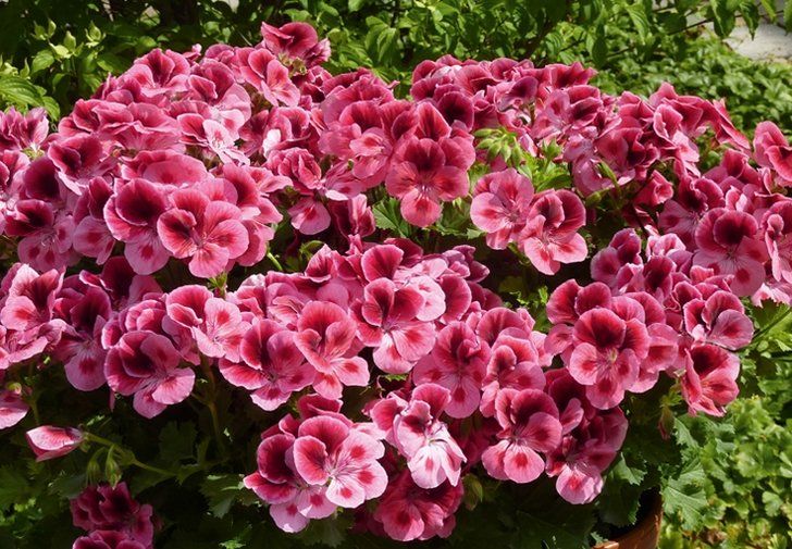 � ���������� ������������ ������ � ���� � ������ ������