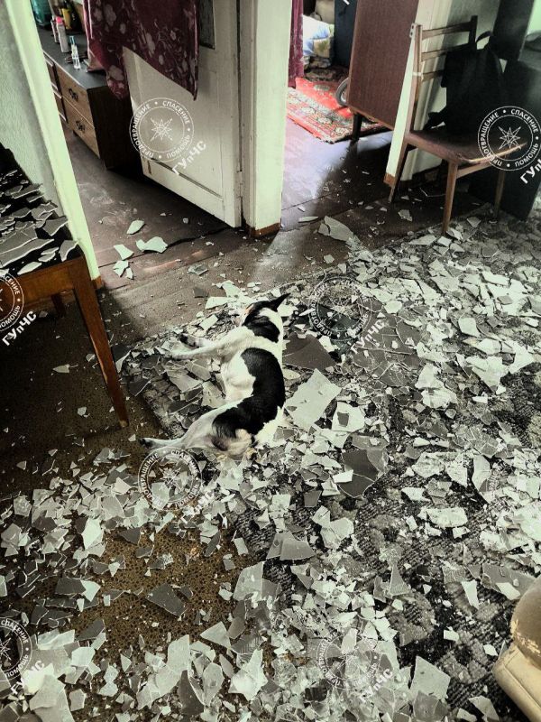 ���� 16-������ ������� ����� ������� � ���������� �������� � �����������