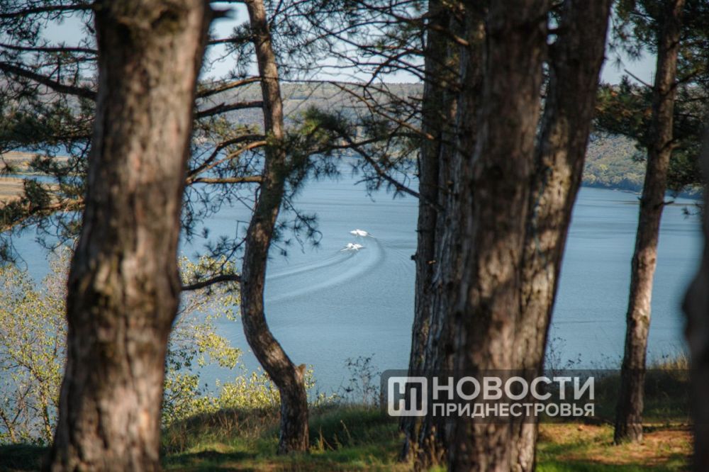 ������� ��������� �� ������������� ������ (���� ����)