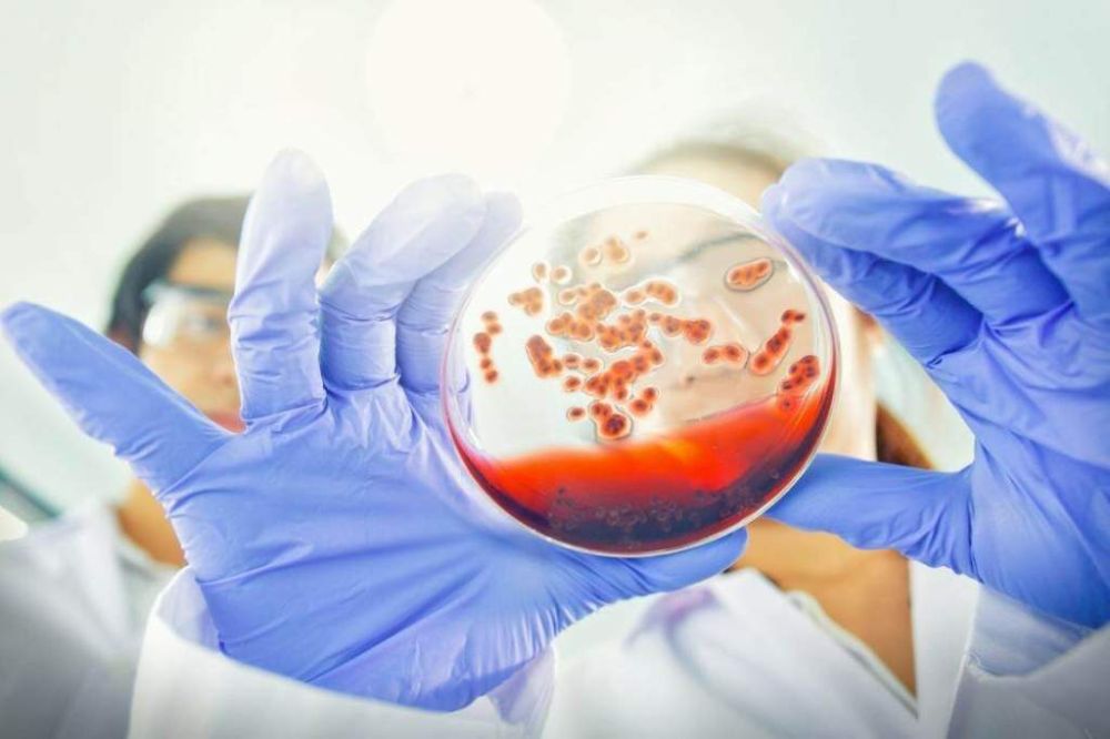 �������� �� ��� � ����������� �������������