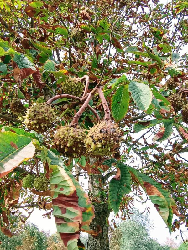 ������� �� �����, � � ���������� ������ �������