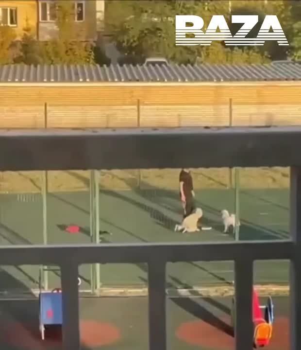 ���������� ����� �� ����� ������� � � ����� ������� ���������� ������ ������� �� �������