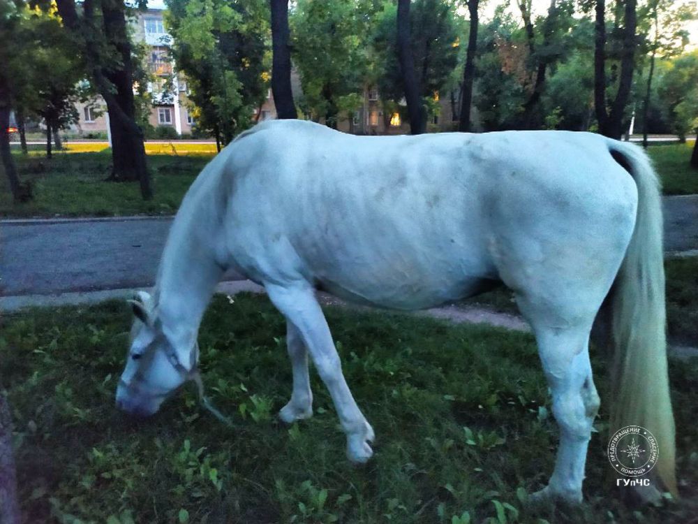 �� ����� ������� � ��������� ������ ����� ������ � �����