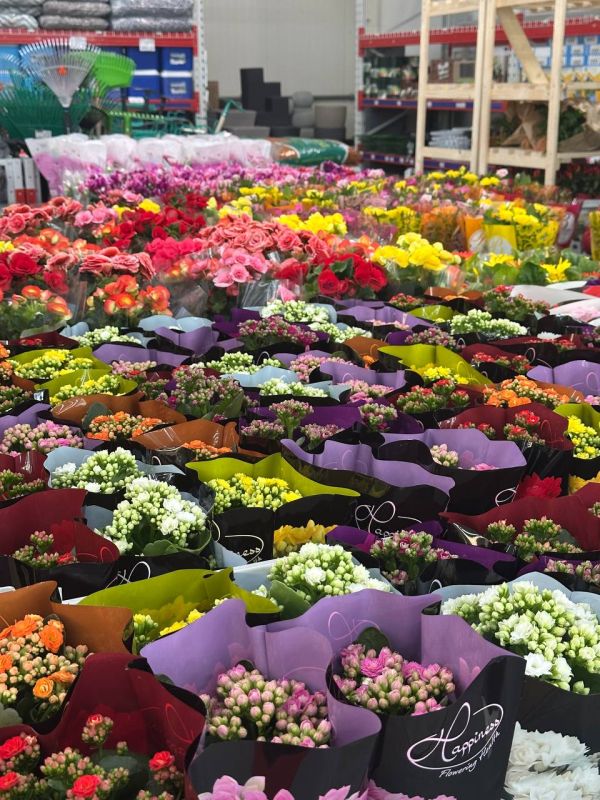 � ������ ������ ��������� ��������� ���