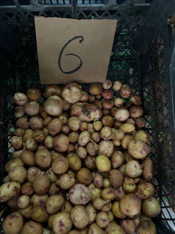 �� ����� ��������� ������� ��������