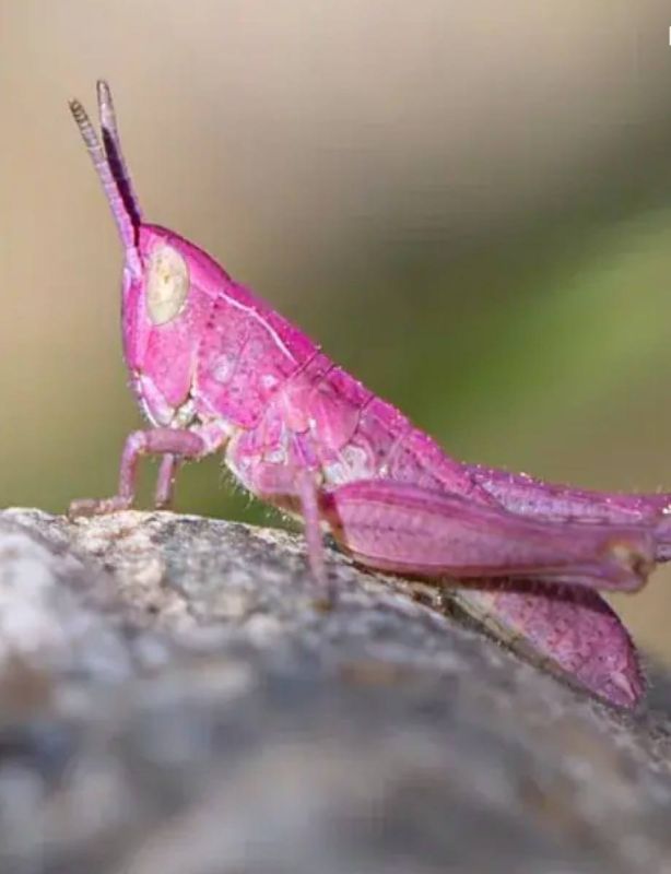 ������� �������� ����������!