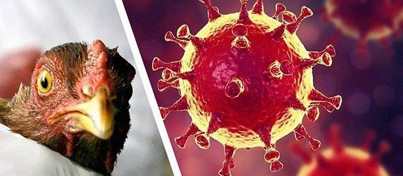 � ��� ��������� ������� �� �������: � ���������� ���� ��������� ������ �����