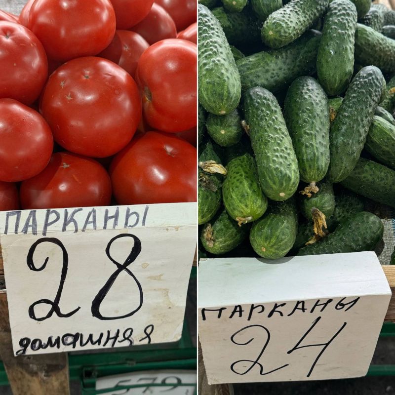 ���������� ����� �� ������� �����: �������� 28, ������ �� 24