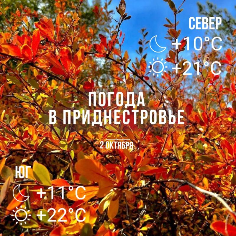 ���� � �� +22��. ��� ������������ �������