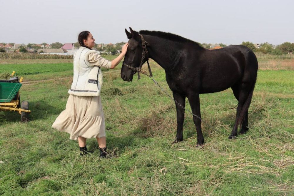 ������� ��� �������������� �������������� ������� ������� ������ 1 �������