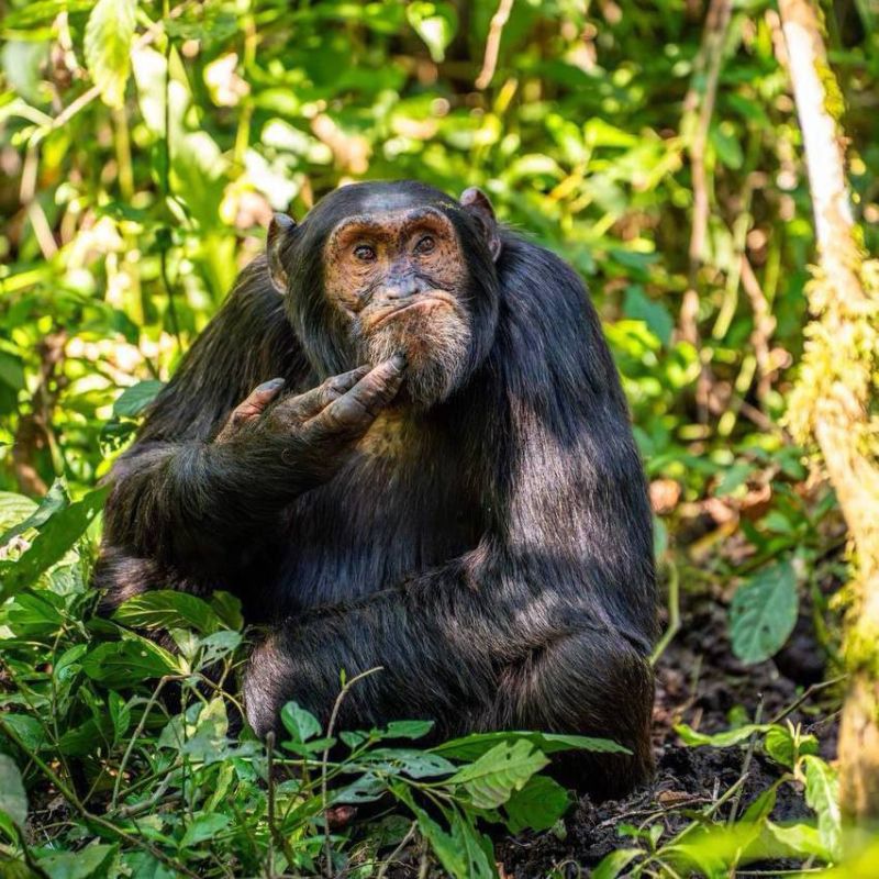 ����� ���� ��������� �������� ����� ������� ���������� ����� �������