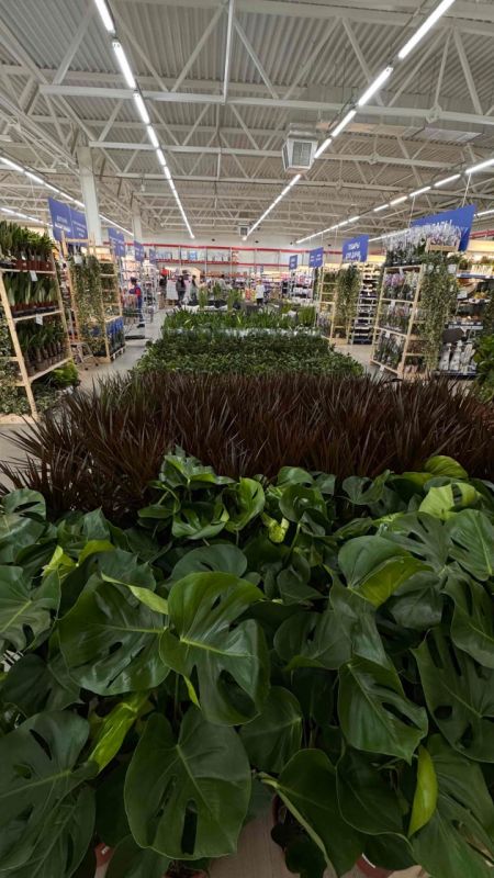 ����� ����������� ��� ���������� ���