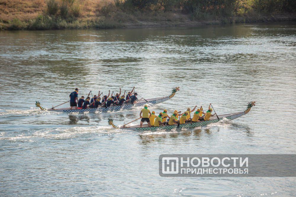 ������ ������ ���� ������ ������ �������� �������