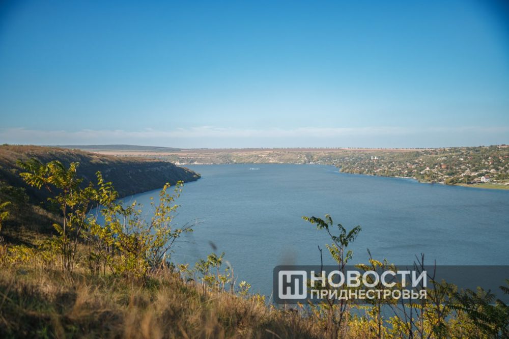 ����� ���� �������� ������ � ������������� ���� ������