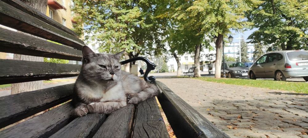 ��� �������� ��������� ����� �� ����� �� � ��, 4 ������� ��������� ���������� ����������, ��� �������