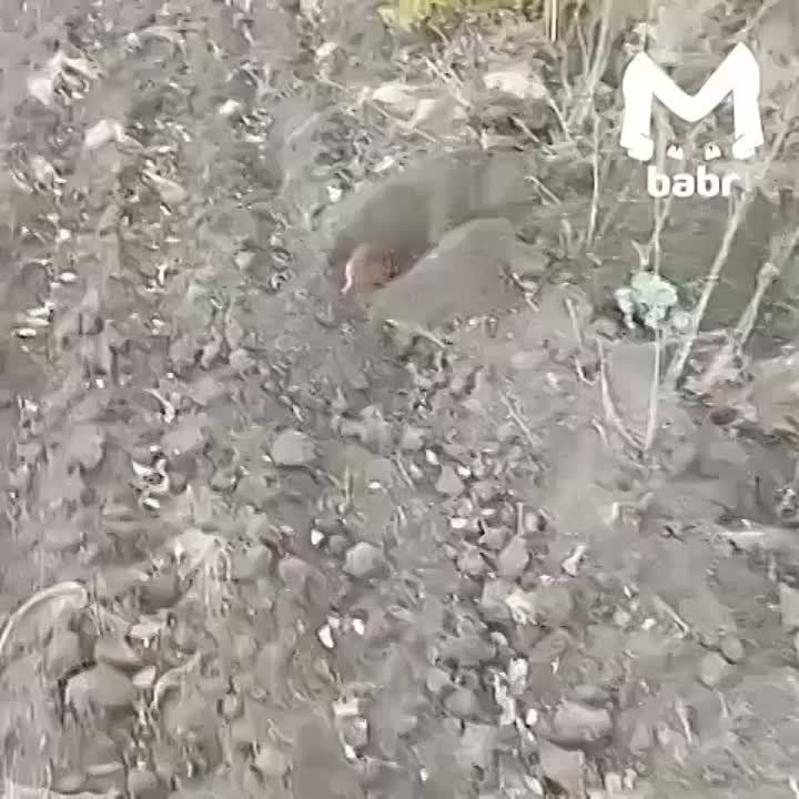 ����� ����� ��������� ������ ��������� �� �������� �������� �� �������: ��� ������� �������� �� ������ ������, ���������� ����-��