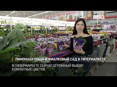 � ������������ �������� ����� ��������� ������