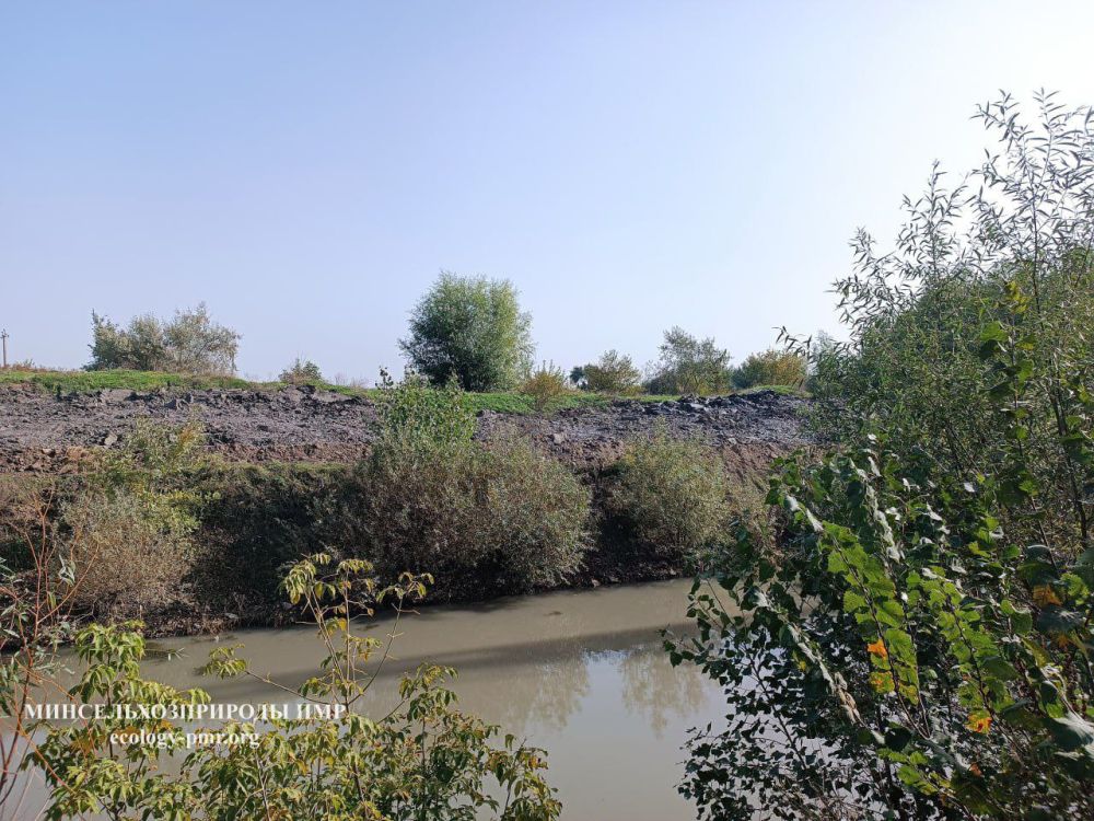 ������ �� ������� ������ � ��� �������