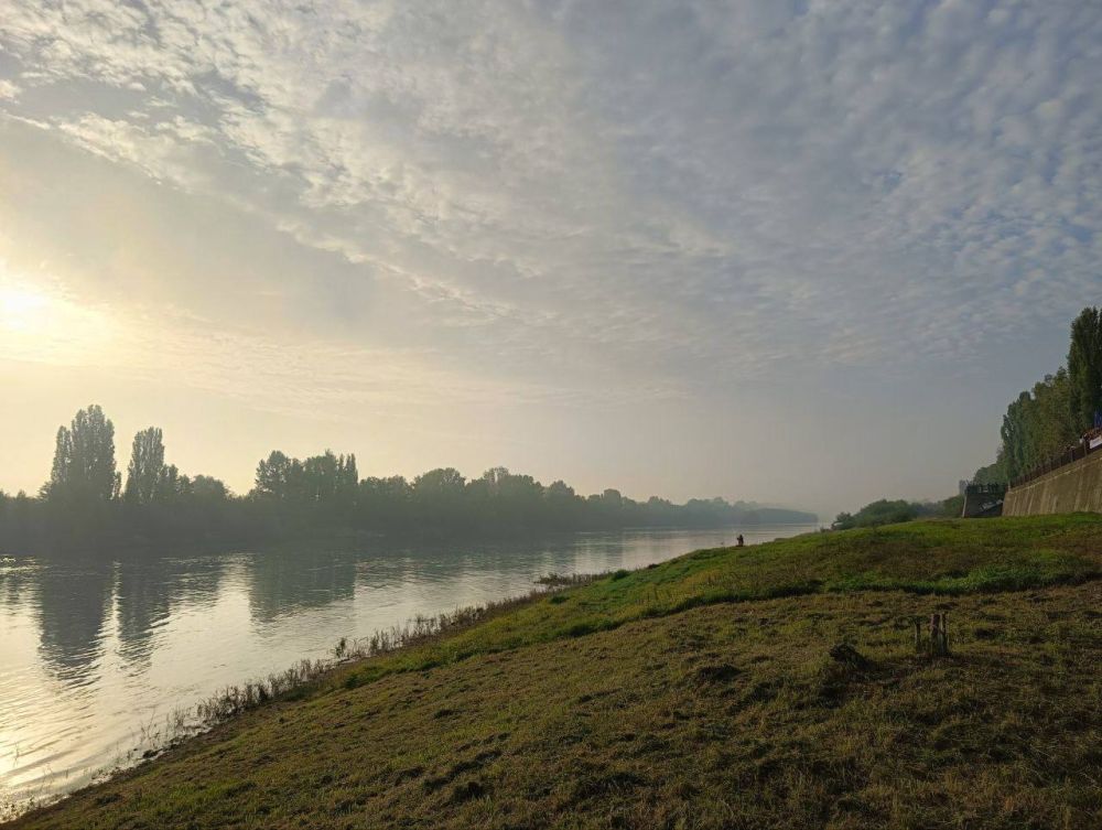 ���� ��������. ������� ������ ���� ������ ������ �������� �������