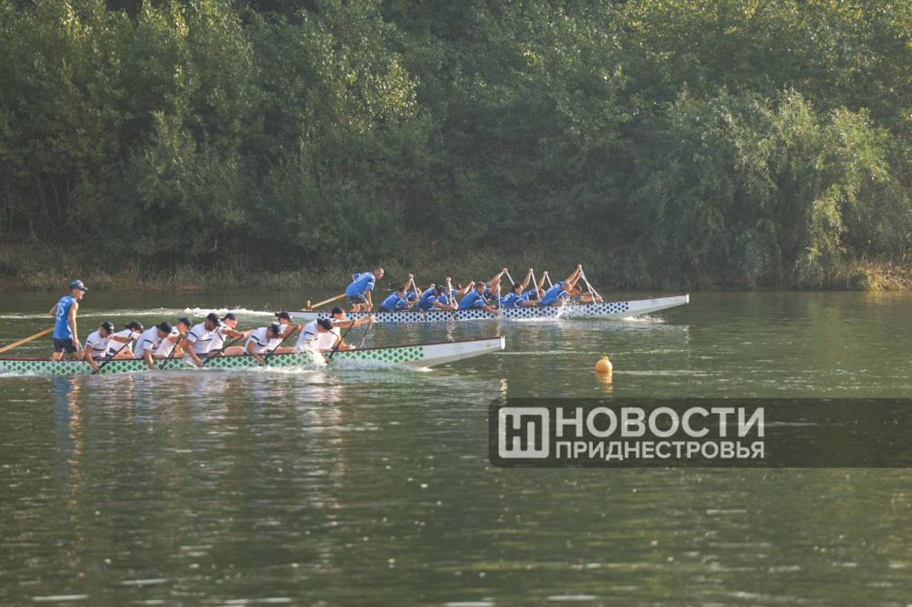 ������ ���� ������ ������ �������� ������� � ��������