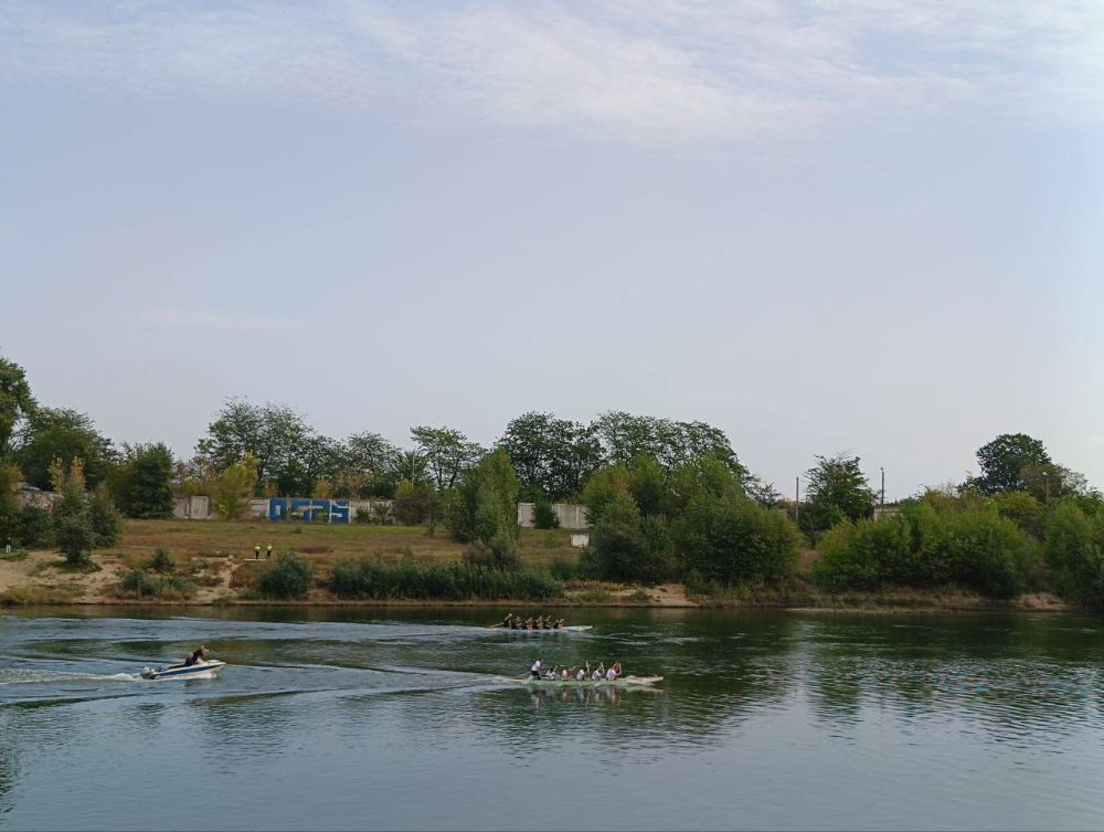 ����������� ����������: ������ ������� � ������� ���������� � ��������� �������� ���������� ��������� 1,15,50