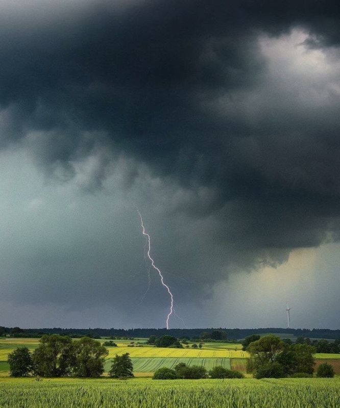 ������� ������� ������� ��������� �������� �����