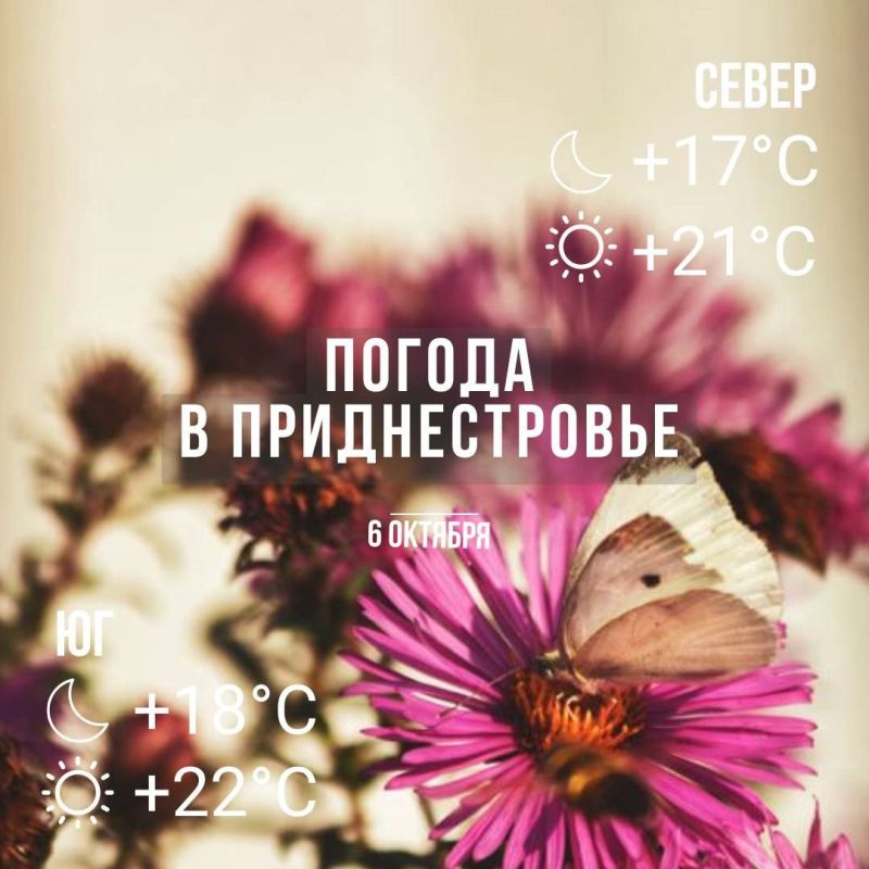 ���� � �� +22��. ������� ������� �����. �������� �����