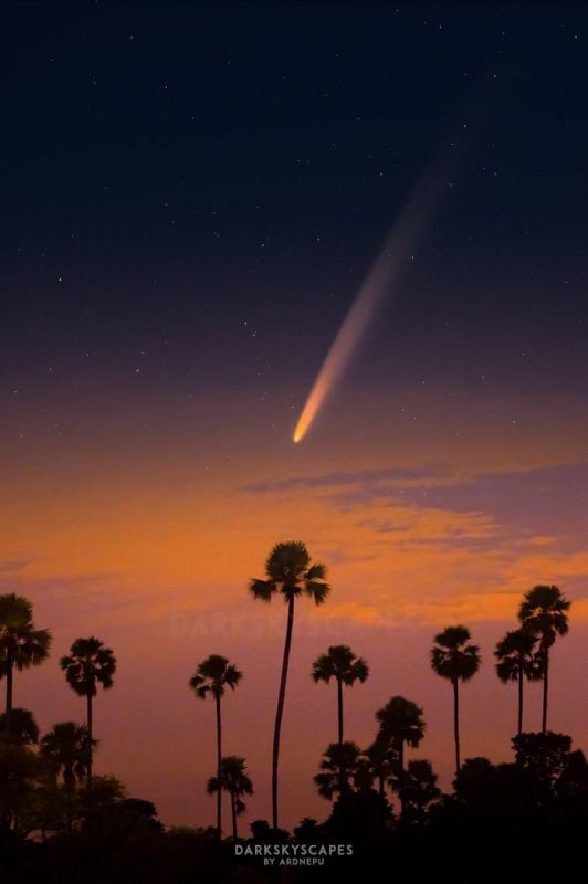 ������� ������ ������������� � ATLAS� � ����������� (�����)