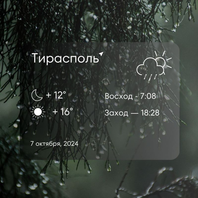 ������ �� �������