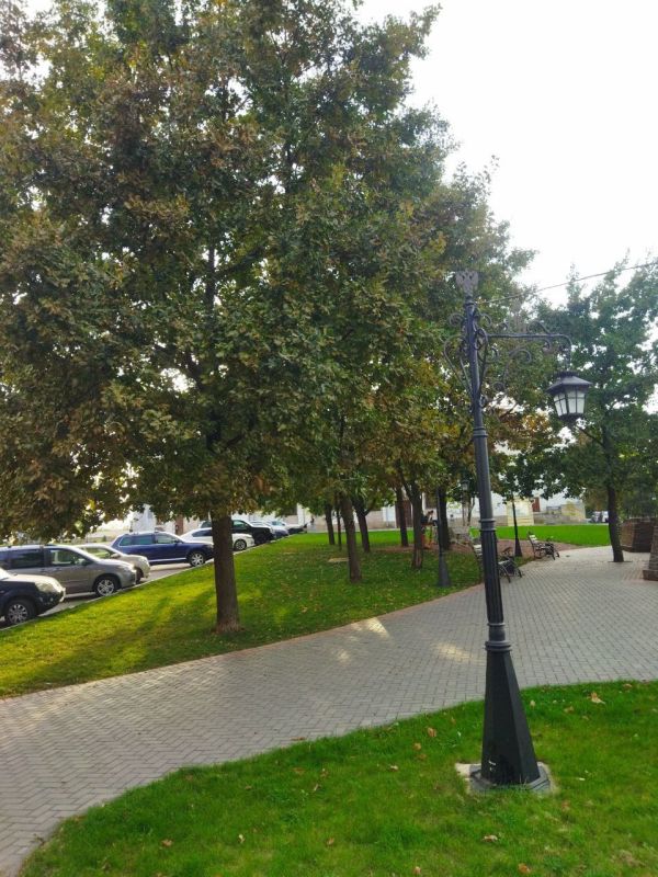 ������� ����� � ������� ���