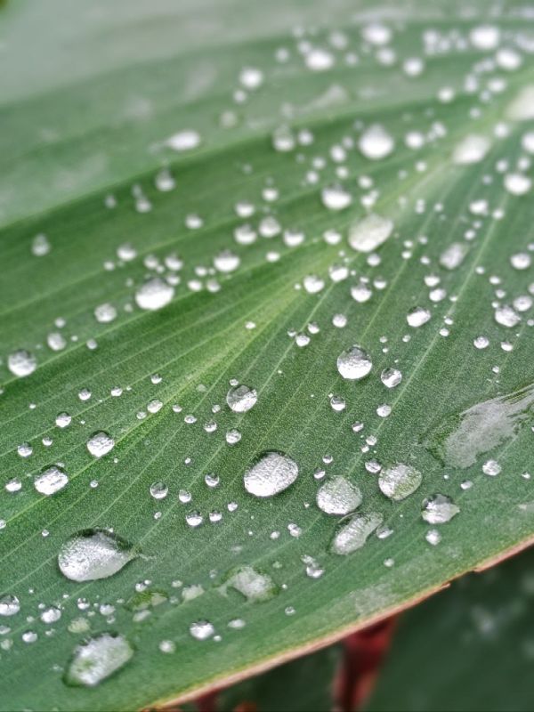 ������� ����� ����� �����