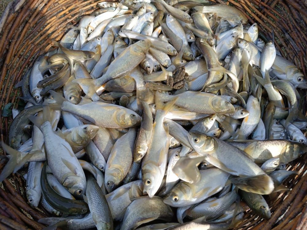 � ������� �������� �������� ����� 2 ����� ���� ����