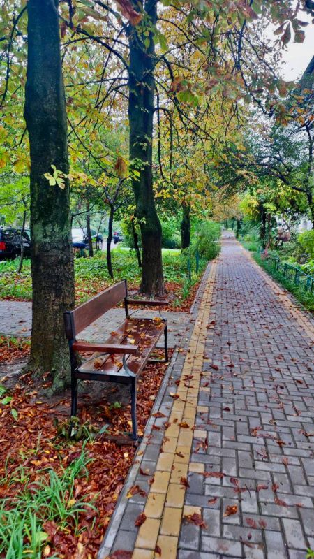 ������� ������. ���������� �����