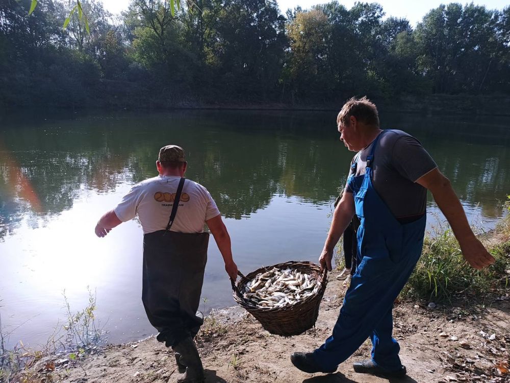 ���������� �������� � ������ 2 ����� ����: �������, ������ � �������������