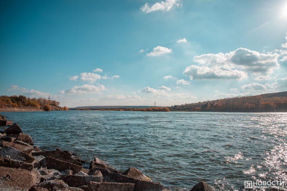 ������ 2 ���� ��������� �����, ������, ������ �����, ������ � �������� ������������� ��������� � ��������