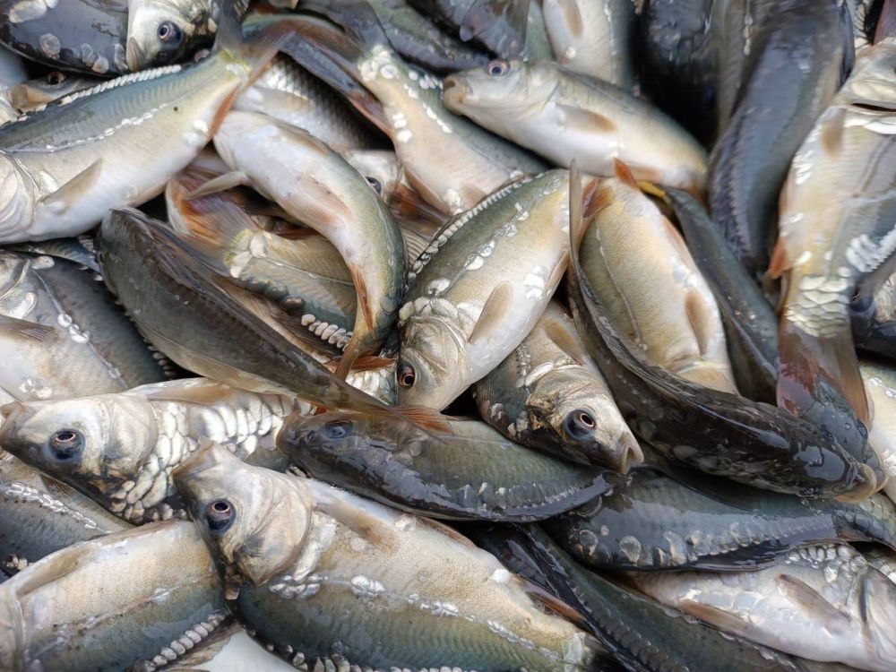 ����� 2 ���� ���� �������� � ������� ��������