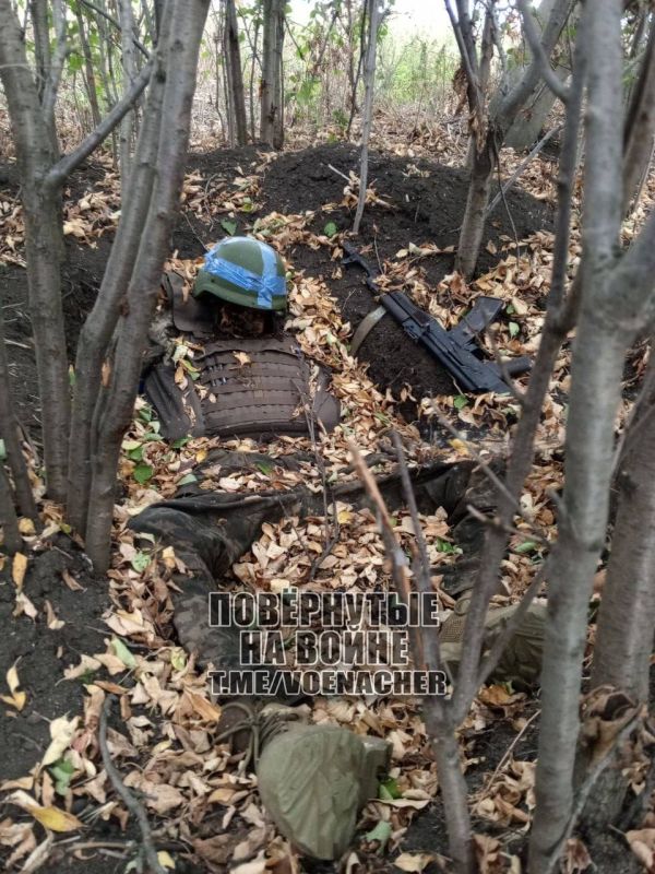 ���������� �����������, ����� ������� �������