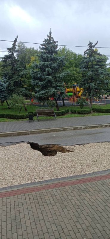 ���������, �������� ����������