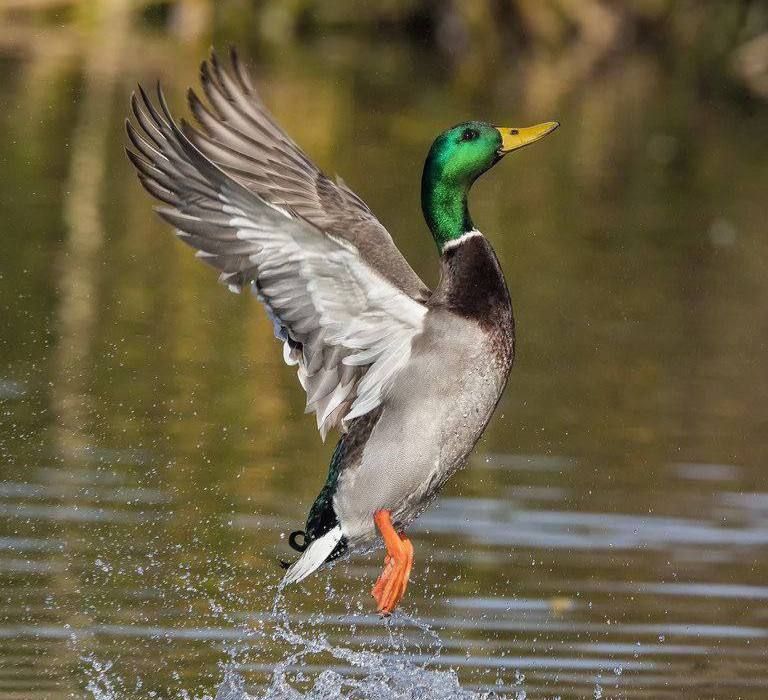 ��������� �����. 24 ������� � 10:00 � ������� �� ������ ����������� ��������