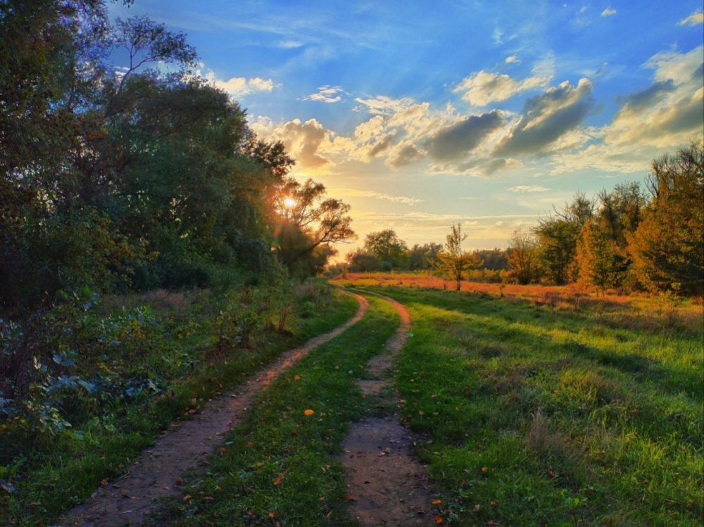 �������. ����� ������� ��������� ��������