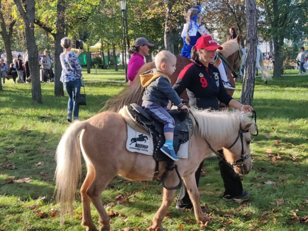 ��������� ��-���������. ������ �������� �� �������