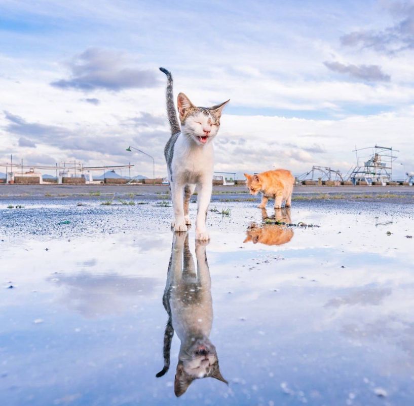 9 ������� ���������� ���������, �� ����� ����� �������� � ���� ��������� � �����