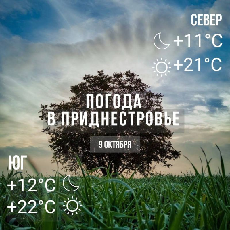 ����� ������� �����. ���� � �� +22��. ��� �������